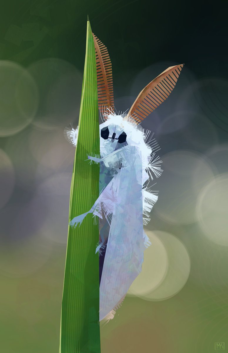 cantaloaf🍈🍉🍈 tweet media