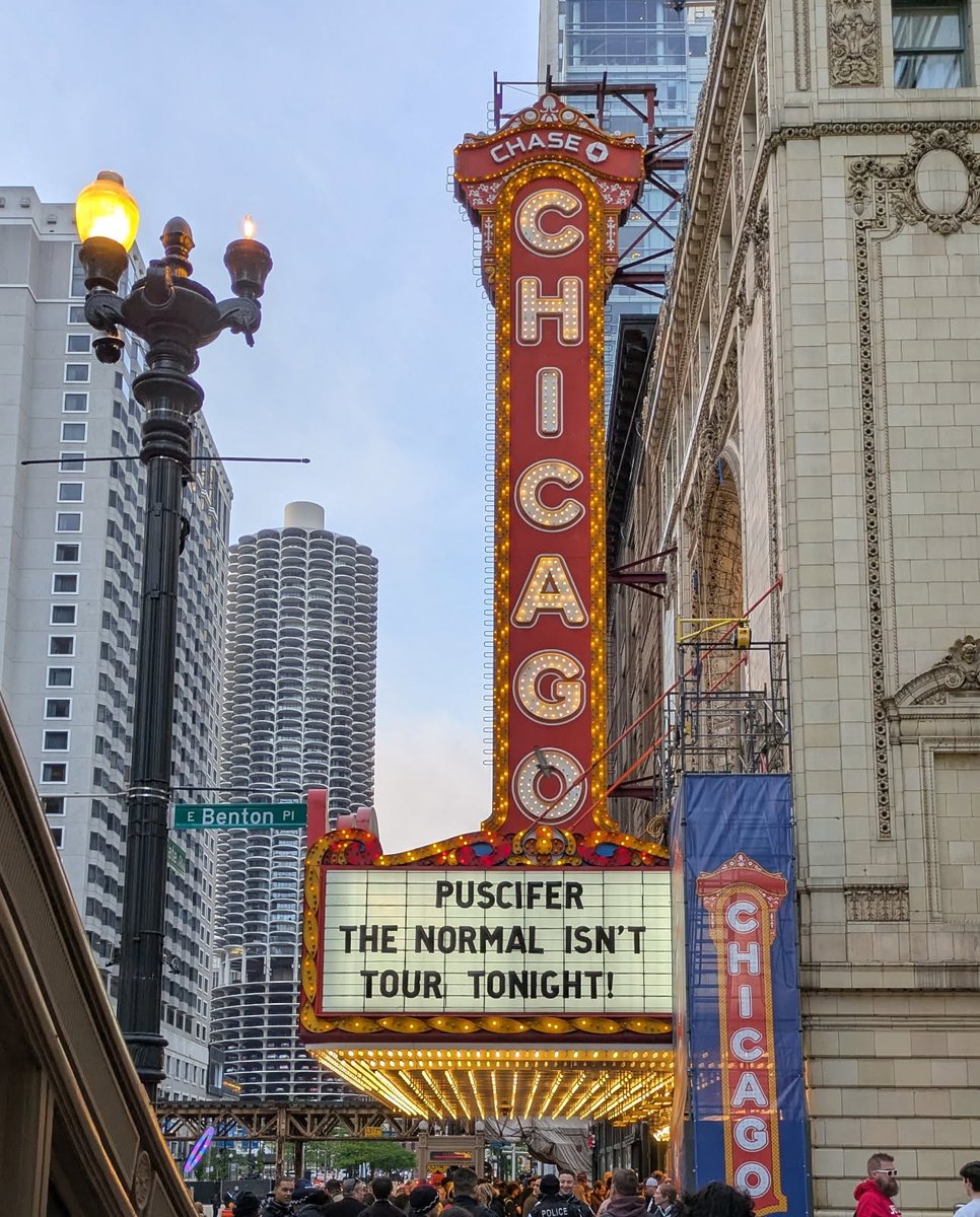 Laura Suzanne tweet media