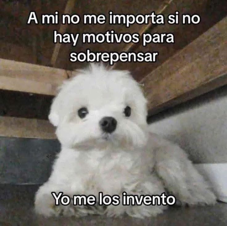 El Guarromántico tweet media