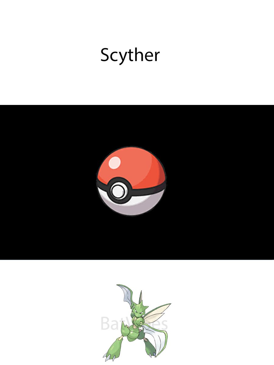 Bat Vibes tweet media