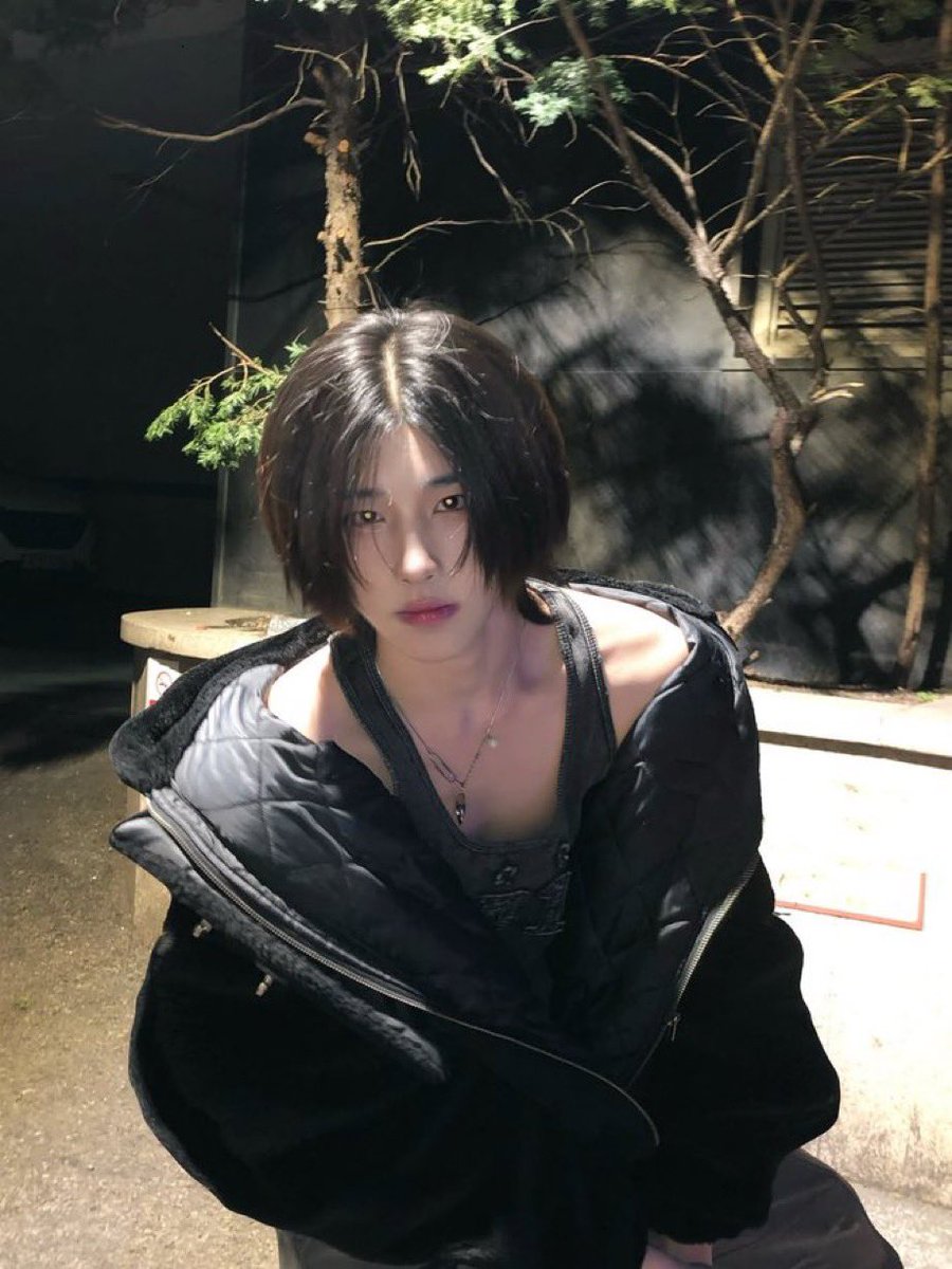 테디곰 tweet media