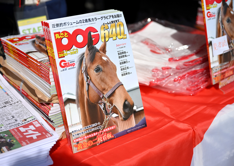 東京競馬場で出来立てほやほやの『丸ごとPOG 2026~2027』の先行販売を
