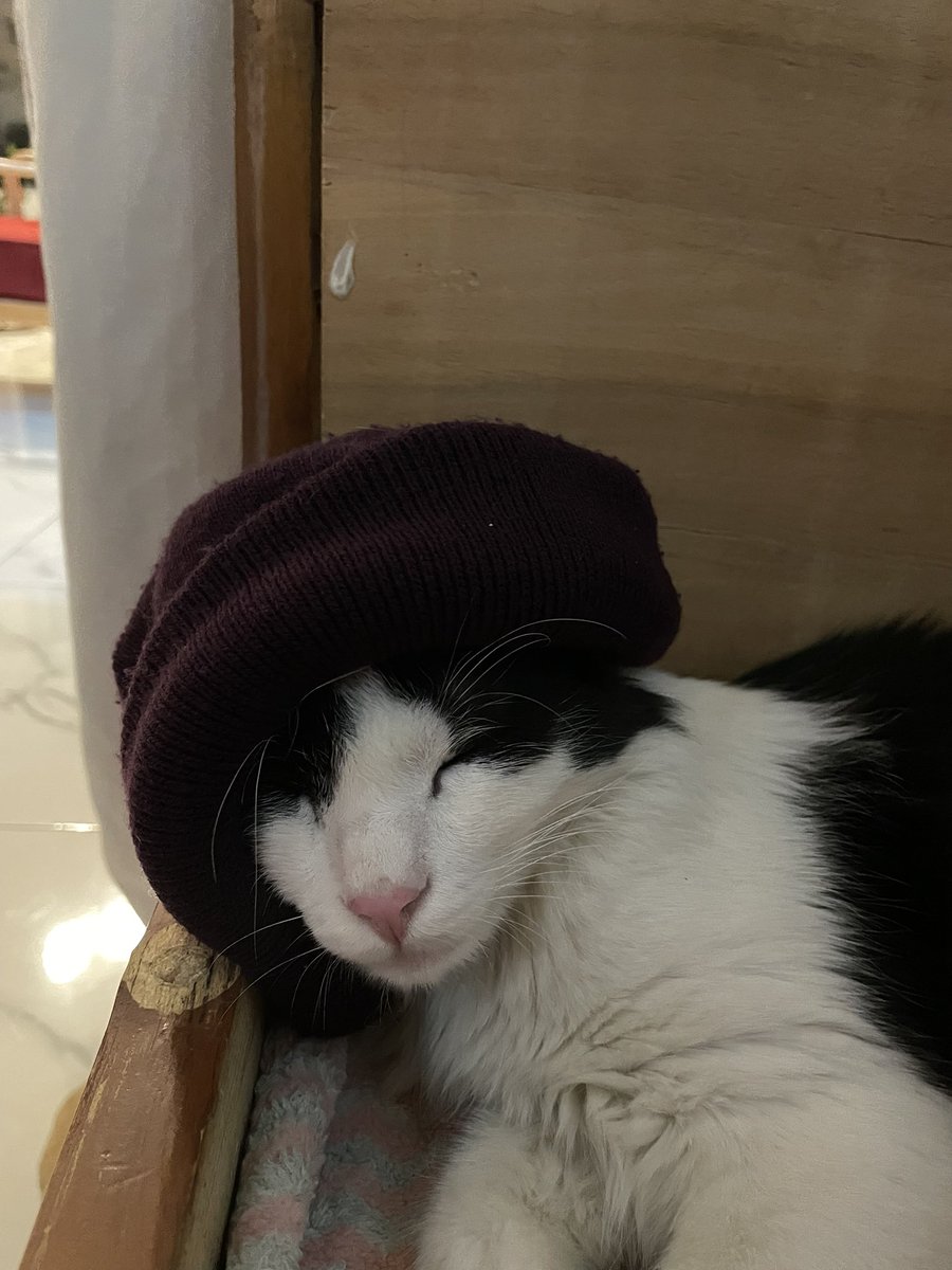 نظاره‌گر tweet media