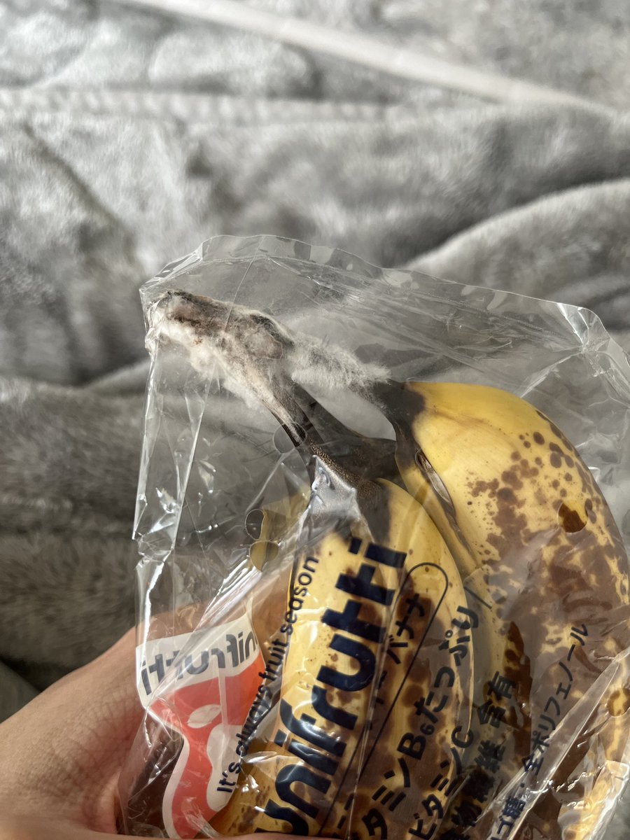 うぉー！ tweet media