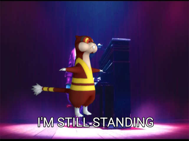 Skraw! VGC tweet media