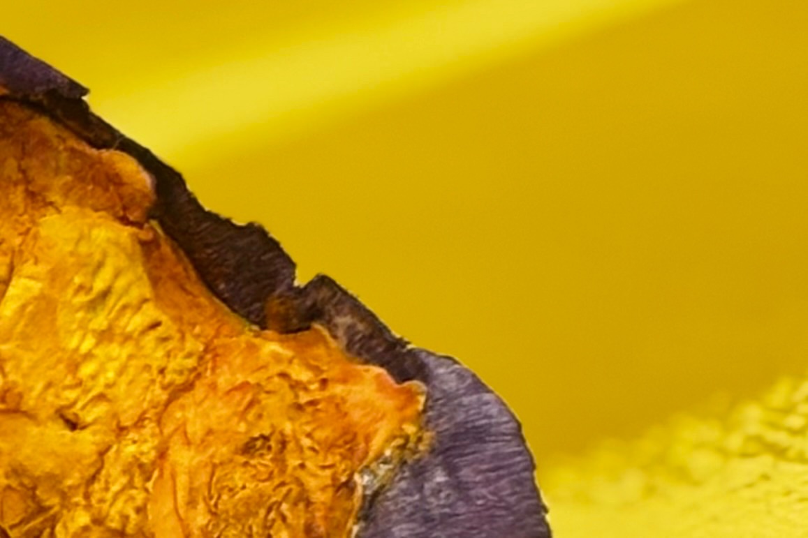 おぶちゃ tweet media