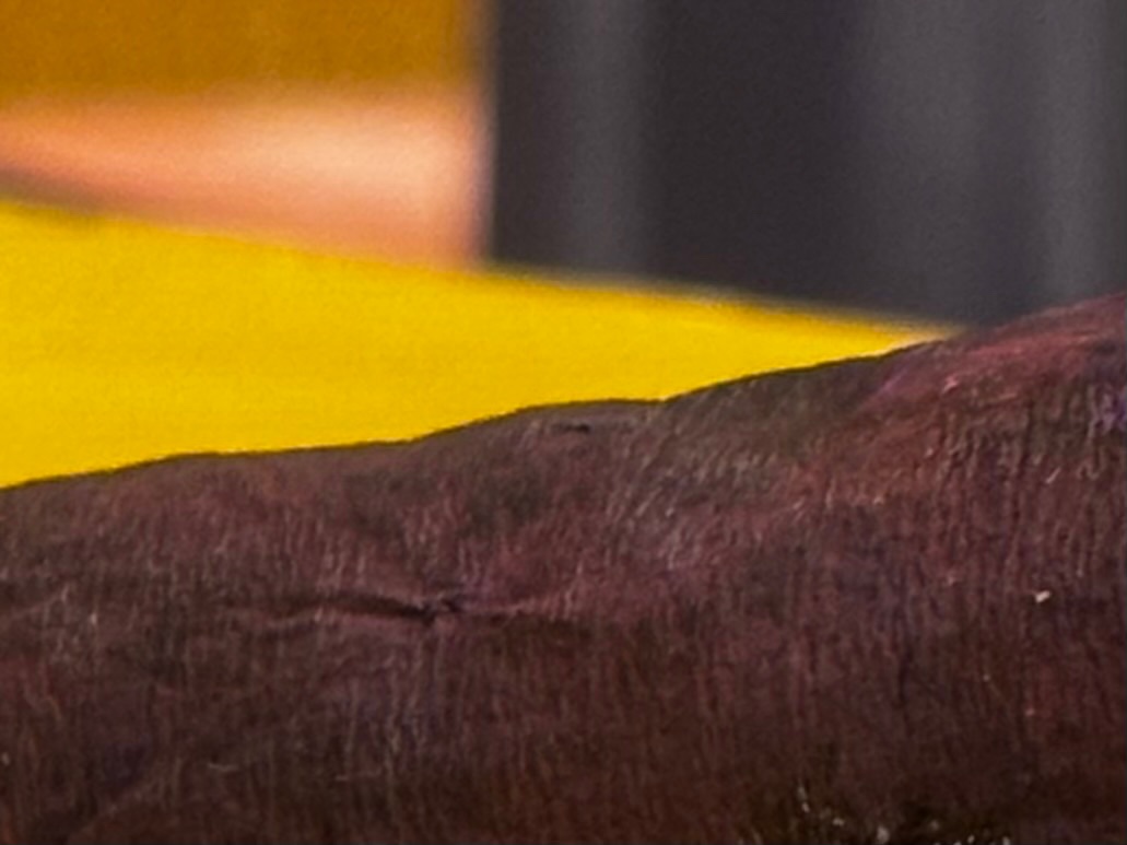 おぶちゃ tweet media