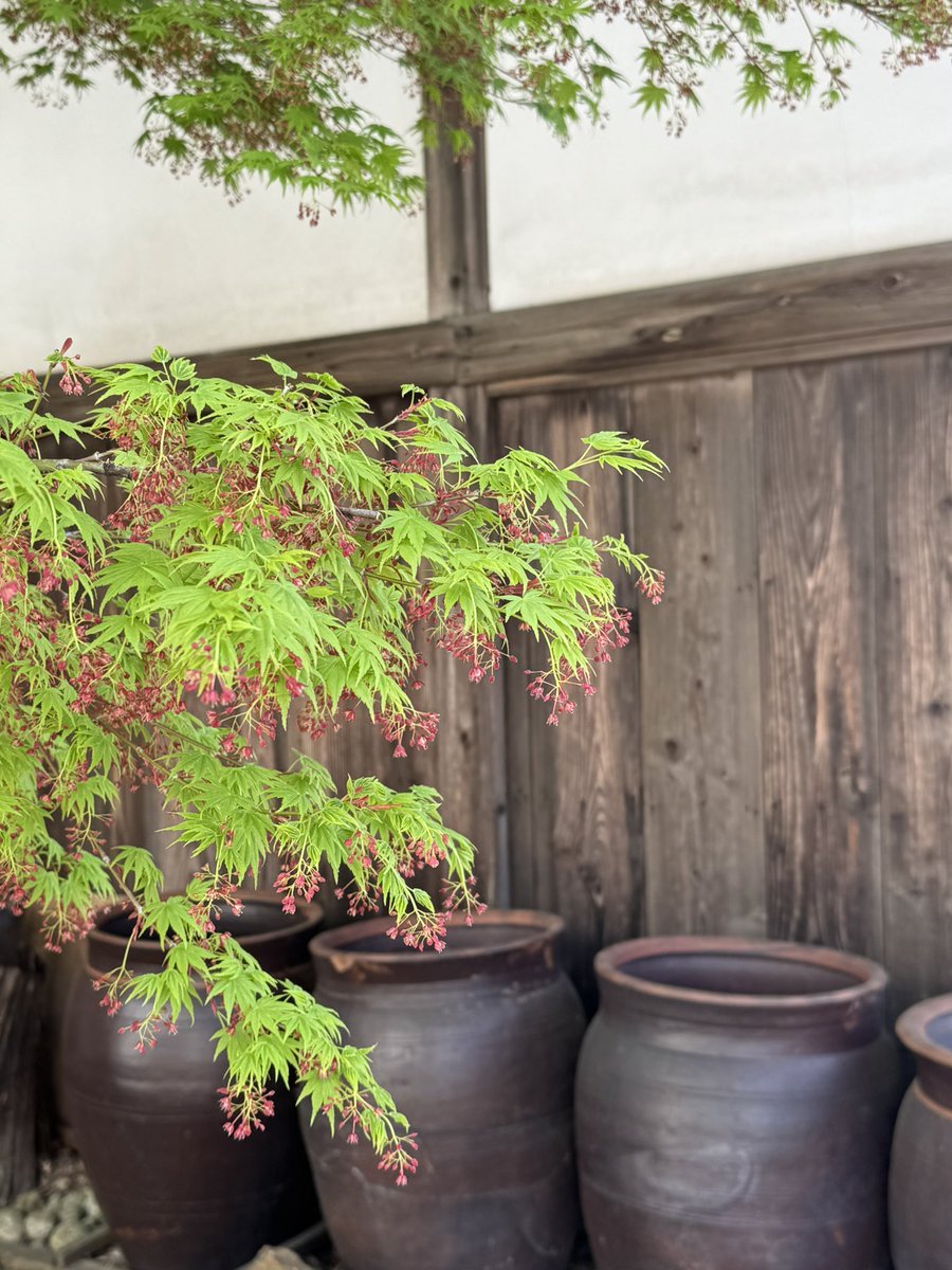 致道博物館 tweet media