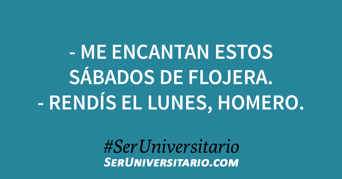 #SerUniversitario tweet media