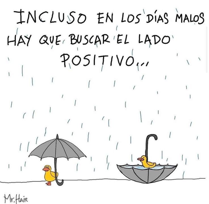 Dalia Tolentino tweet media