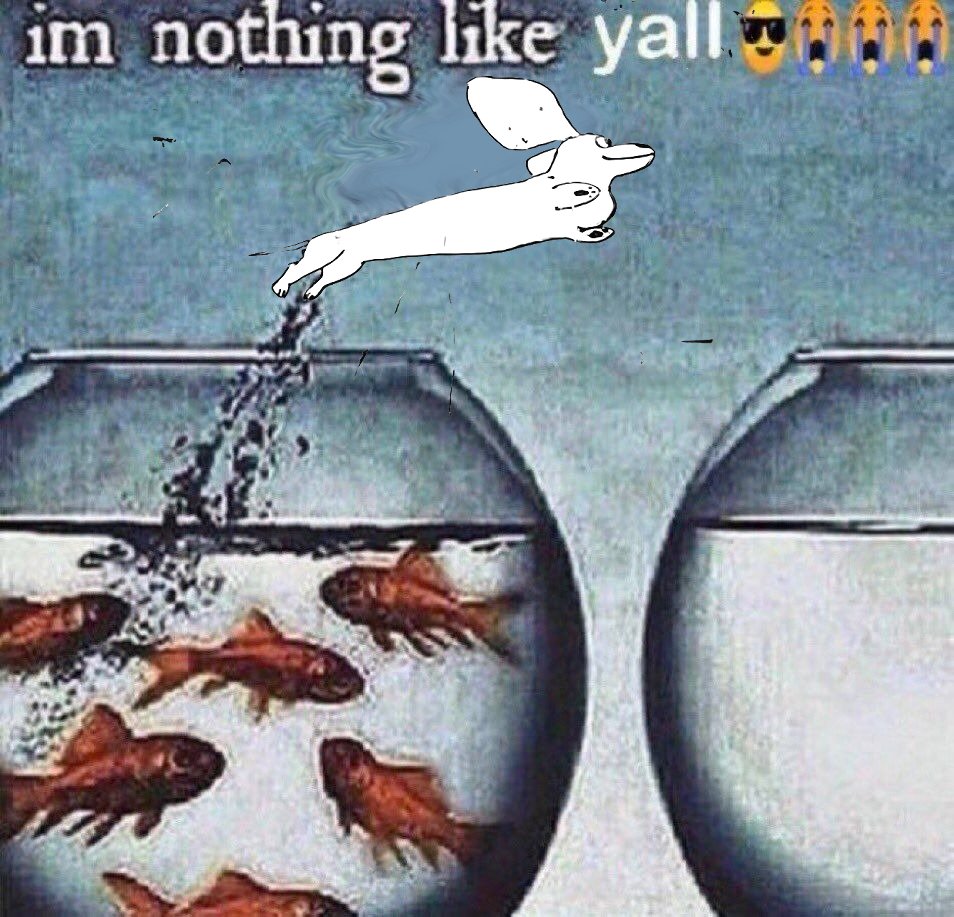 ren 🪽˖ . ݁𓏲𝄢 tweet media