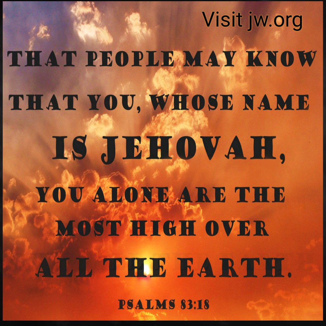 linda laureigh tweet media