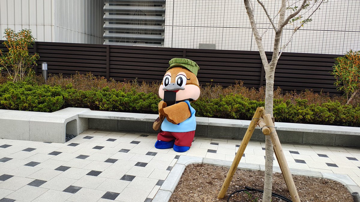pepeco tweet media