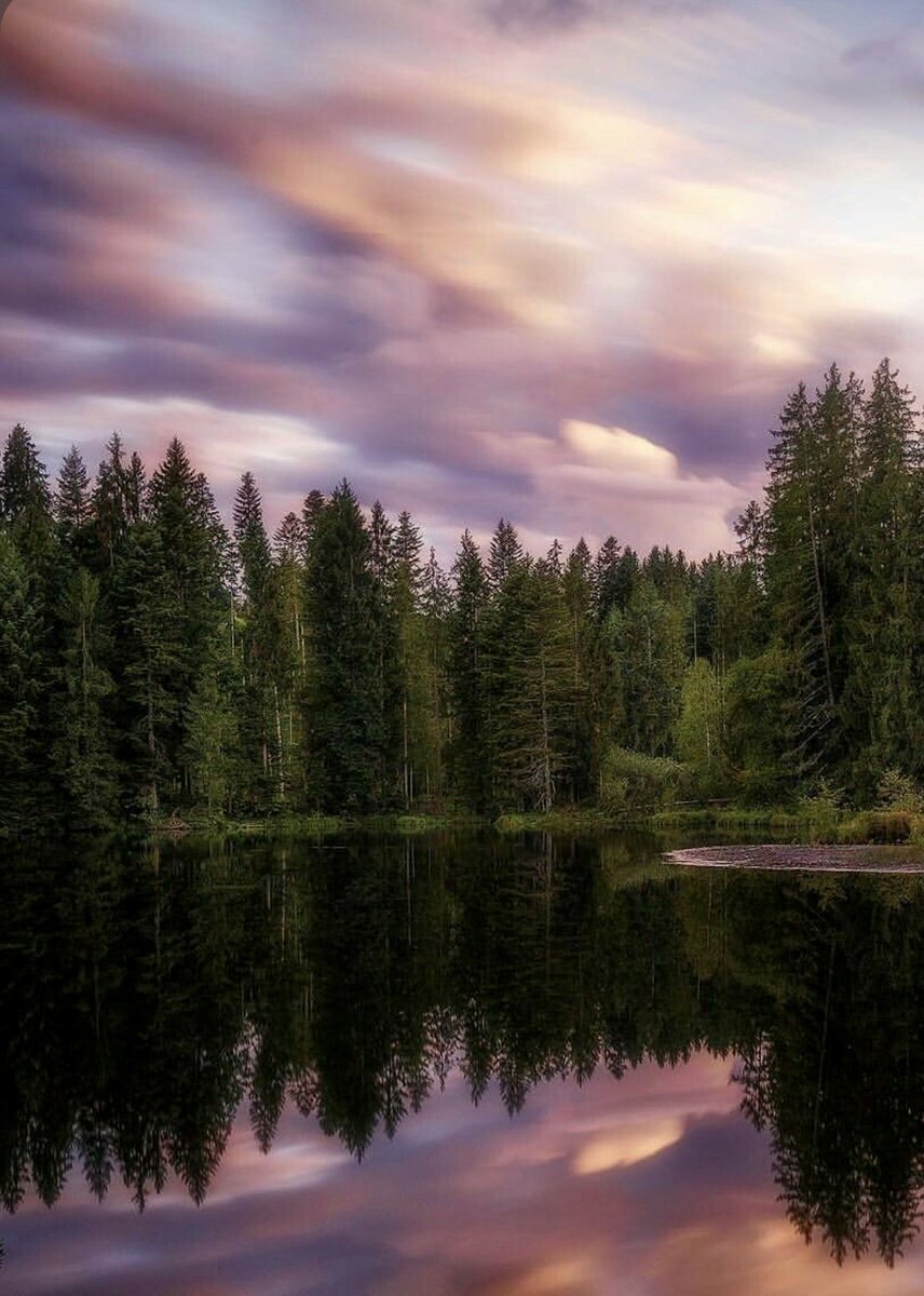 JeaneFahrlander's tweet image. Peaceful dreams 🕊️