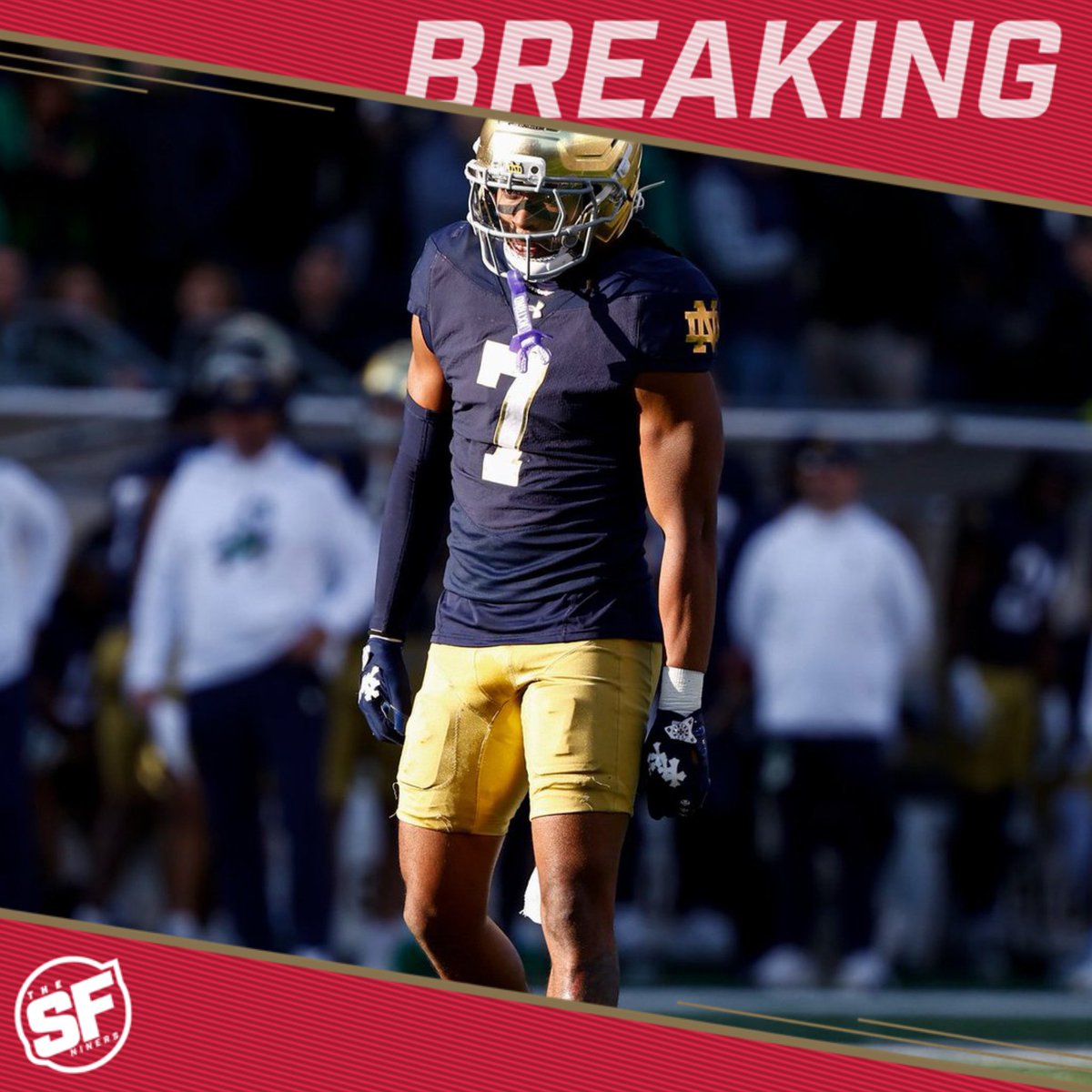 𝙏𝙝𝙚𝙎𝙁𝙉𝙞𝙣𝙚𝙧𝙨 tweet media