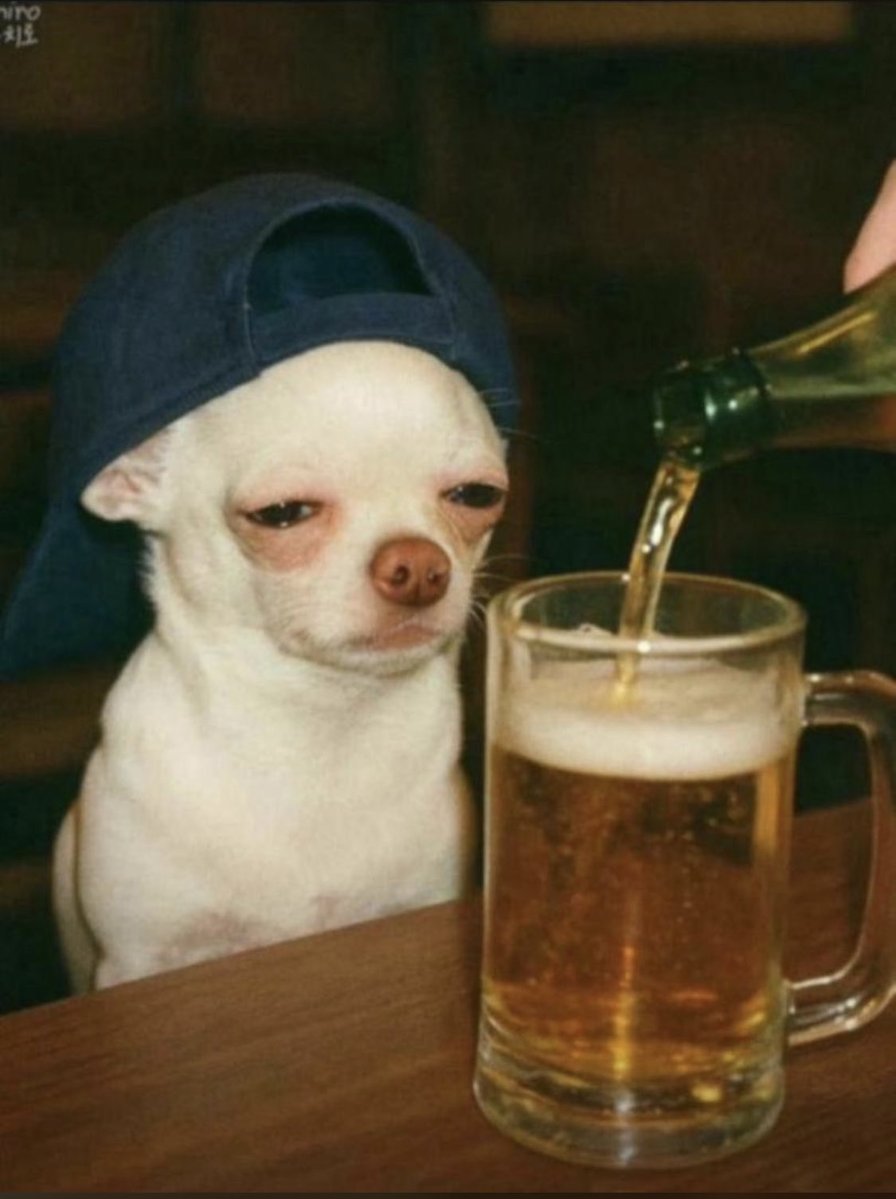 Lobistars cousin tweet media