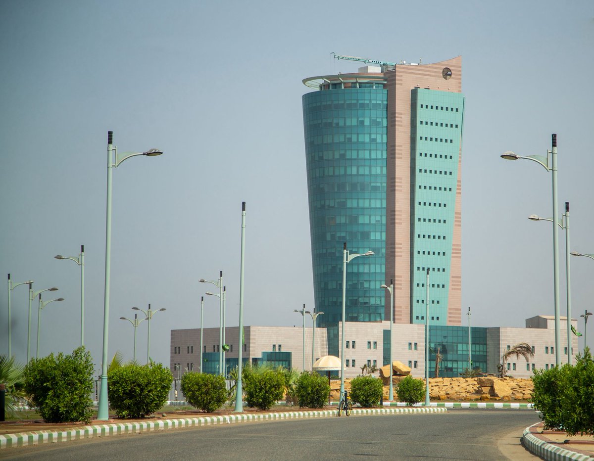 وائل طميحي tweet media