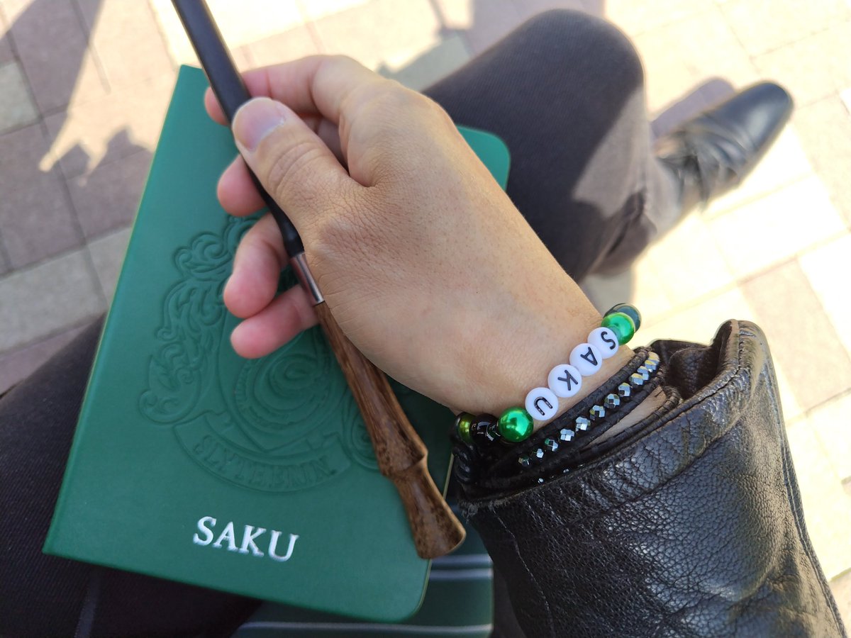 🐍サク🦡 tweet media