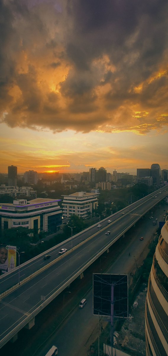 Adel On Politics tweet media