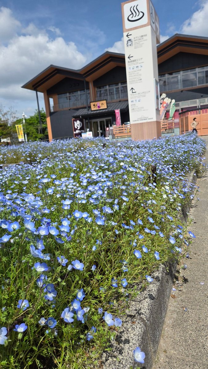 きーぼーのダーリン tweet media