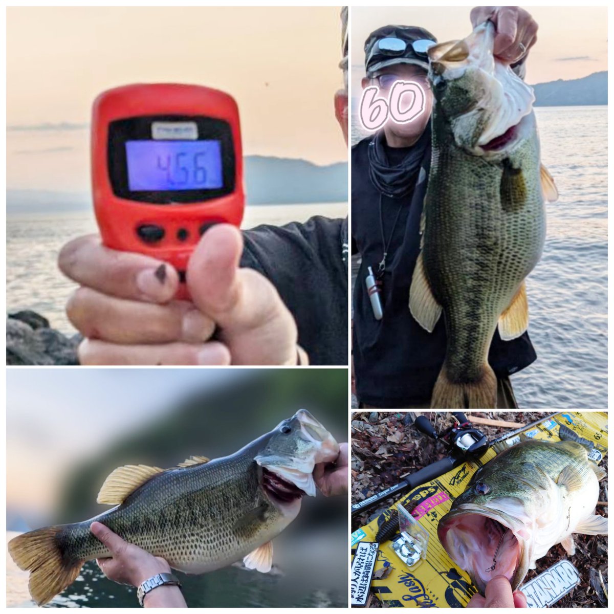ロクマル隆 tweet media