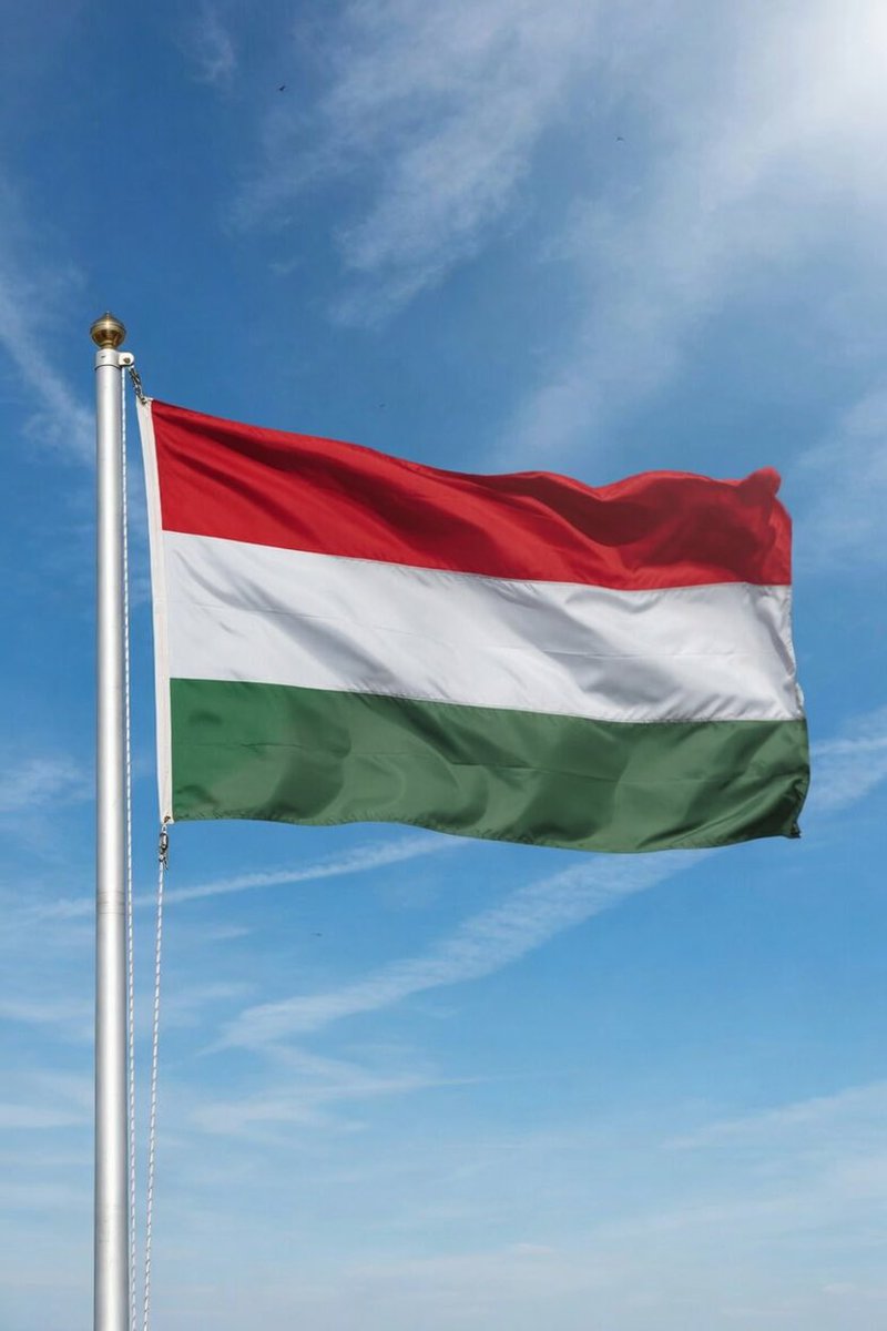 𝓙𝓲𝓶𝓶𝔂 𝓙 tweet media