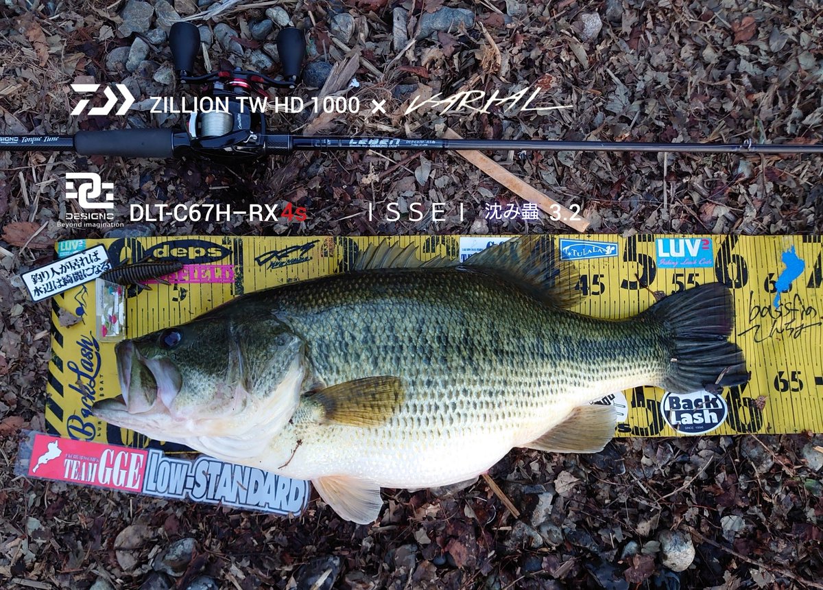 ロクマル隆 tweet media