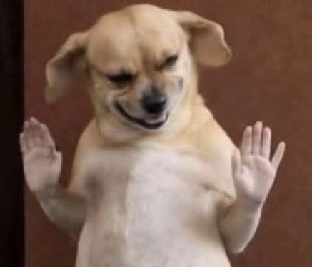 T…Silk tweet media