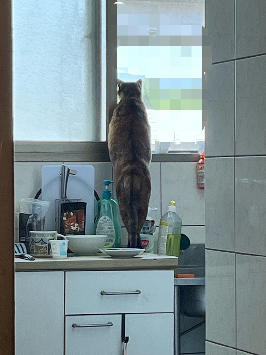？