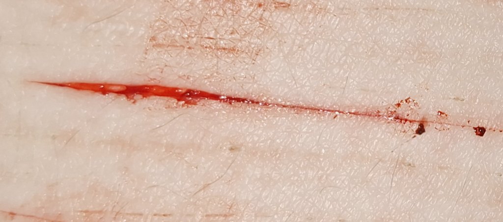 Quibyyyyy's tweet photo. OMG DID I DO IT?? IS THAT STYRO PLS TELL ME OMG OMG https://t.co/5RriqZLjHc