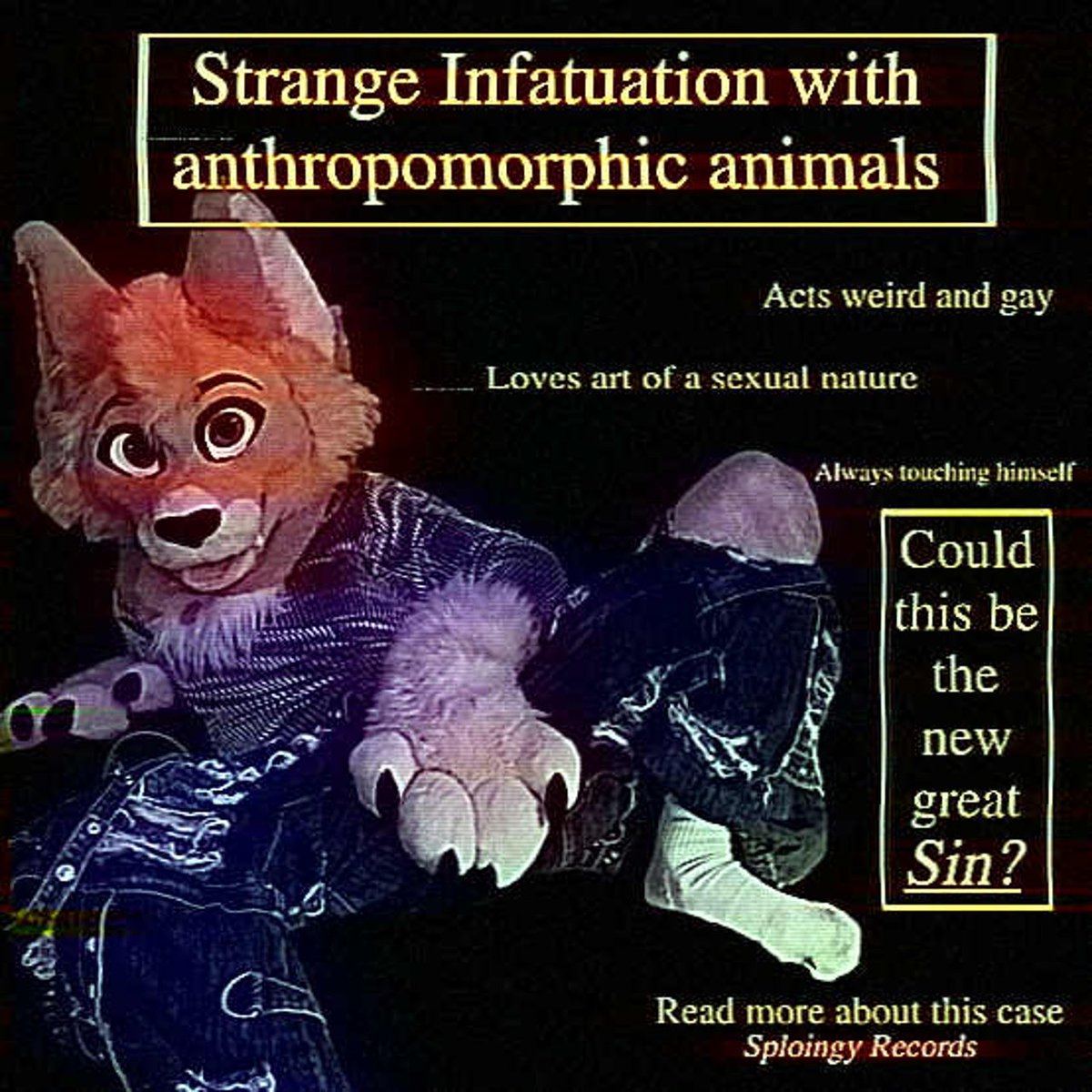 sploingyrecords (@sploingyrecords) on Twitter photo 