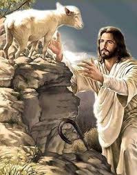 OseHelg's tweet photo. I AM THE GATE OF THE SHEEPFOLD 
'You had gone astray like sheep but now you have come back'
https://t.co/Lgp8Uvs7wI 
JE SUIS LA PORTE DES BREBIS
«Vous étiez errants comme des brebis ; mais à présent vous êtes retournés» https://t.co/c8dLcTU04w