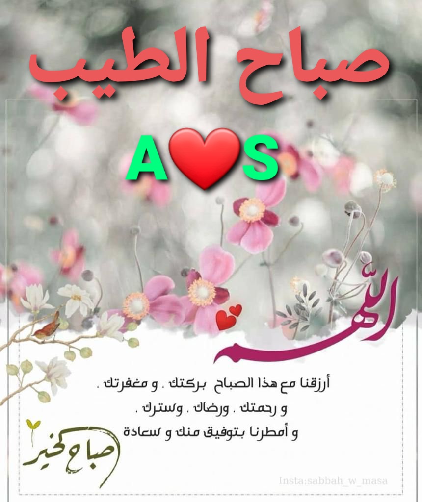 ༊෴✿طيب الطيبين ✿〄 tweet media