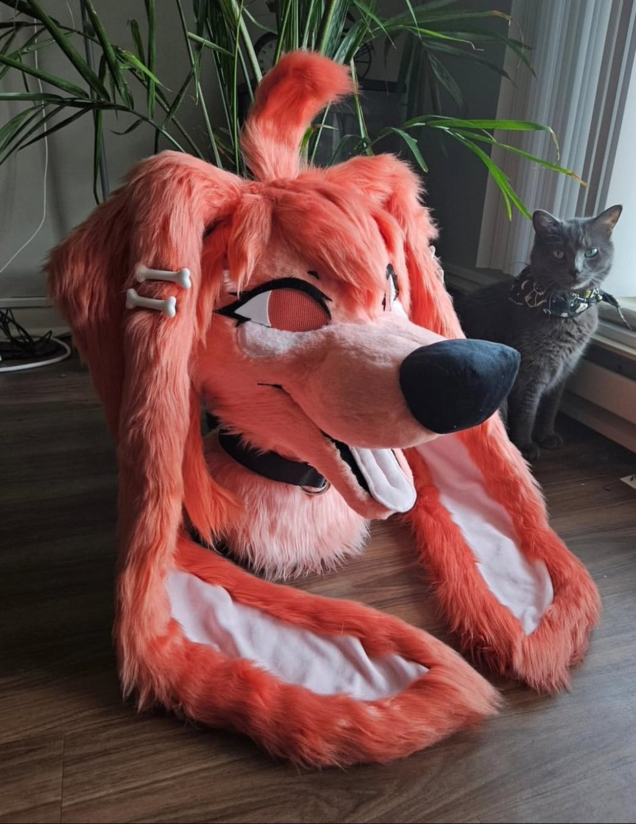 𓆝 EMMY 𓆞 𓆝 𓆟 tweet media