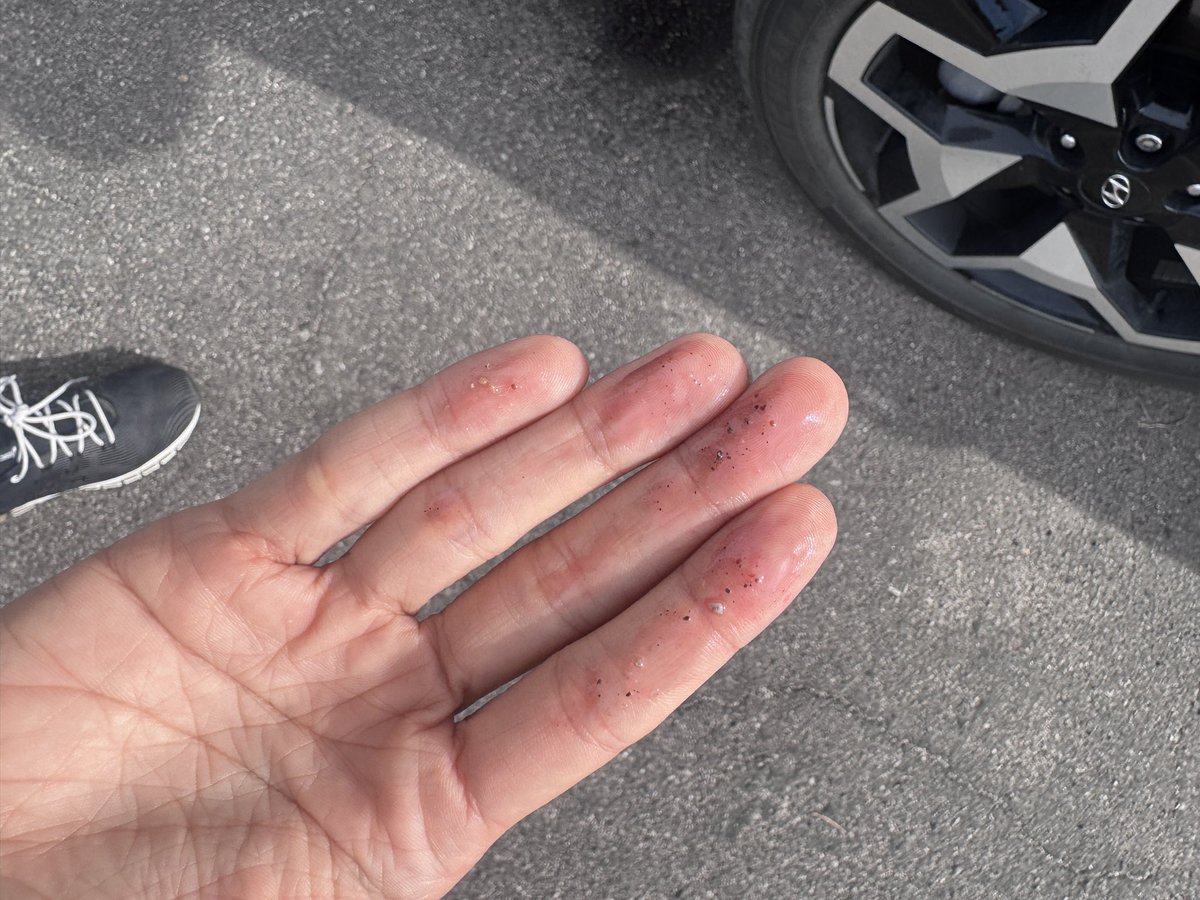 Sofilein tweet media