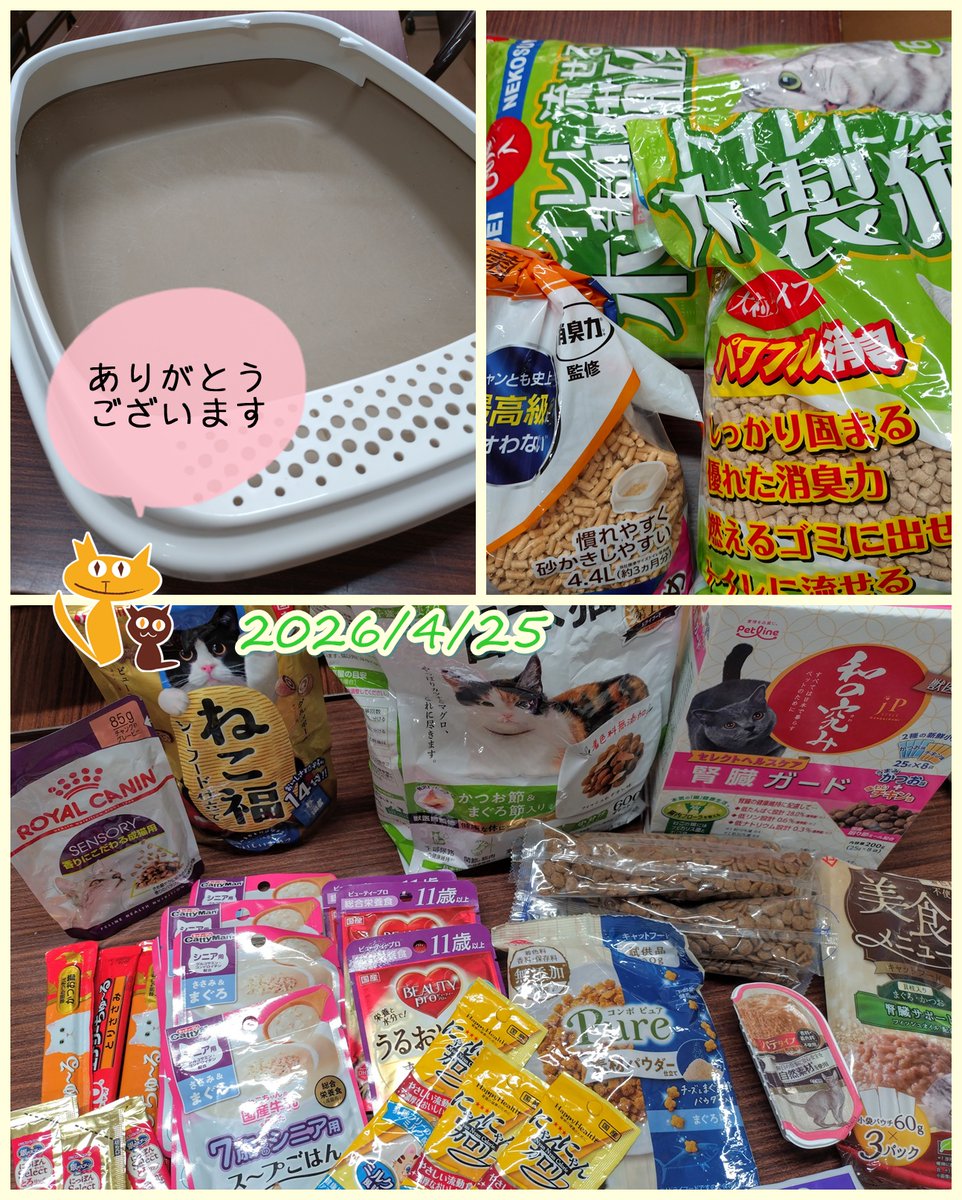 ご寄付いただきました。
感謝申し上げます🙇‍♀️