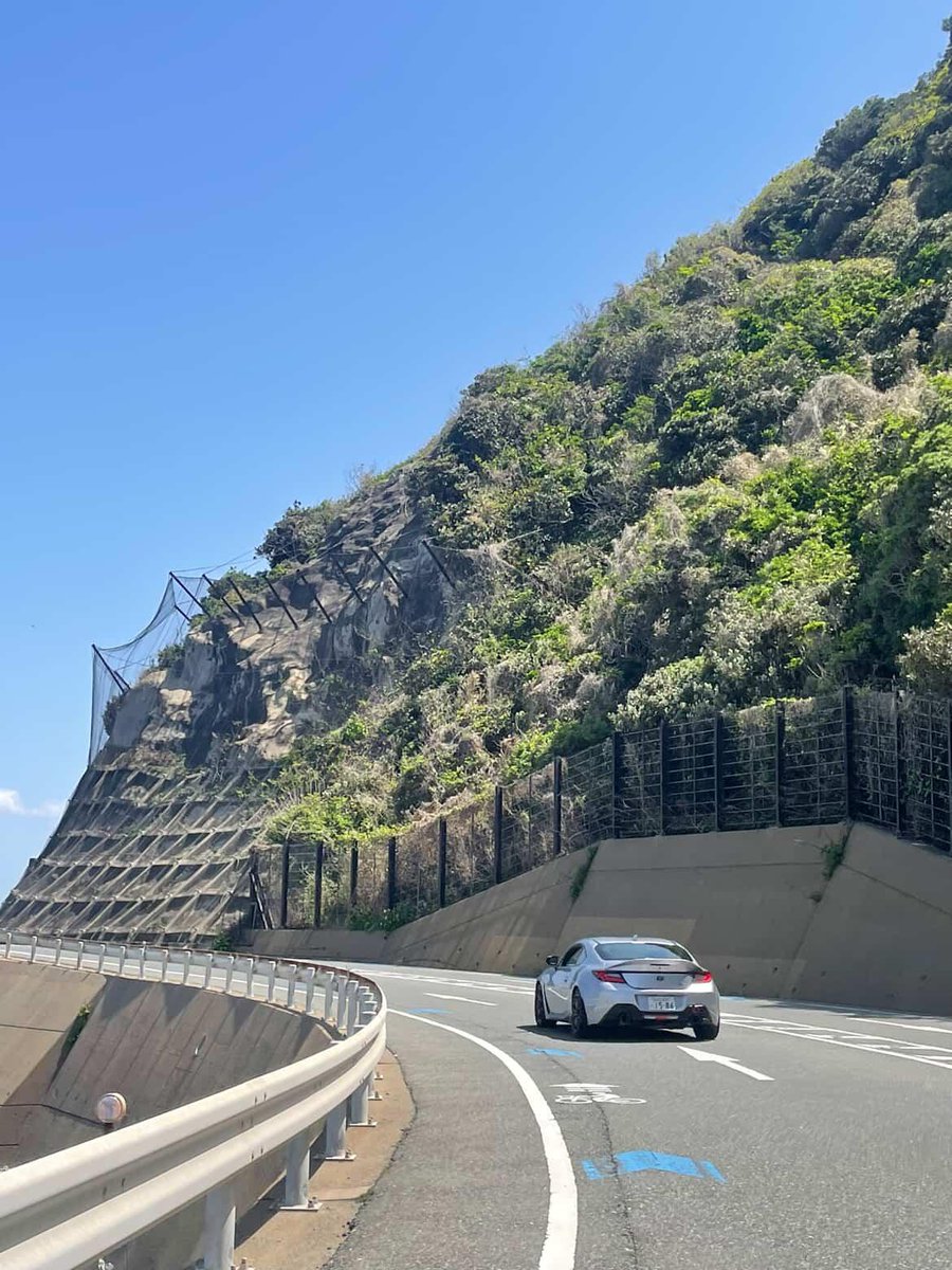 リュウ tweet media