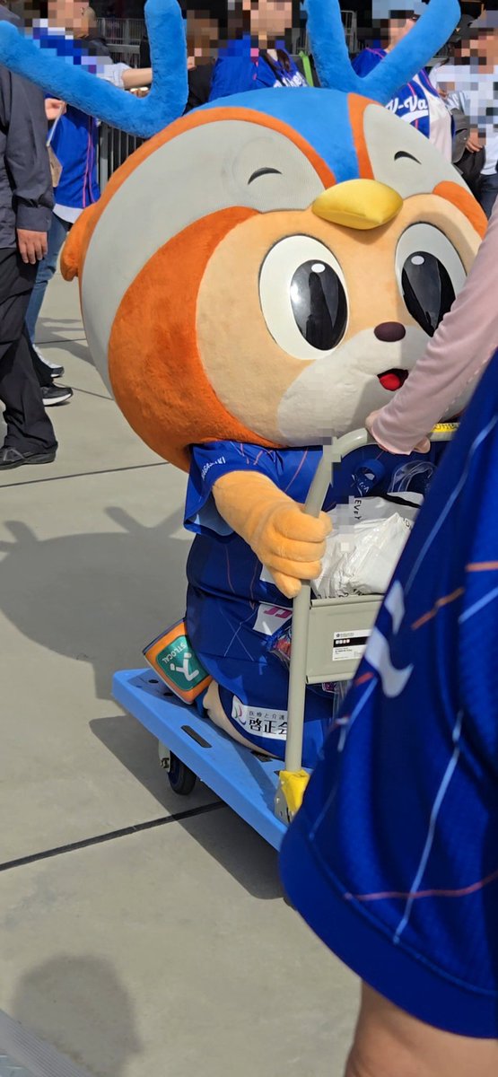 一 太郎 tweet media