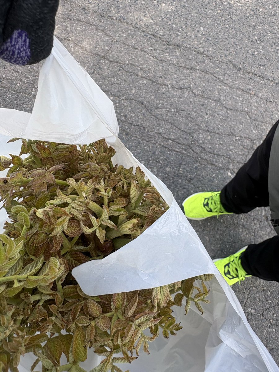 ちえまる tweet media