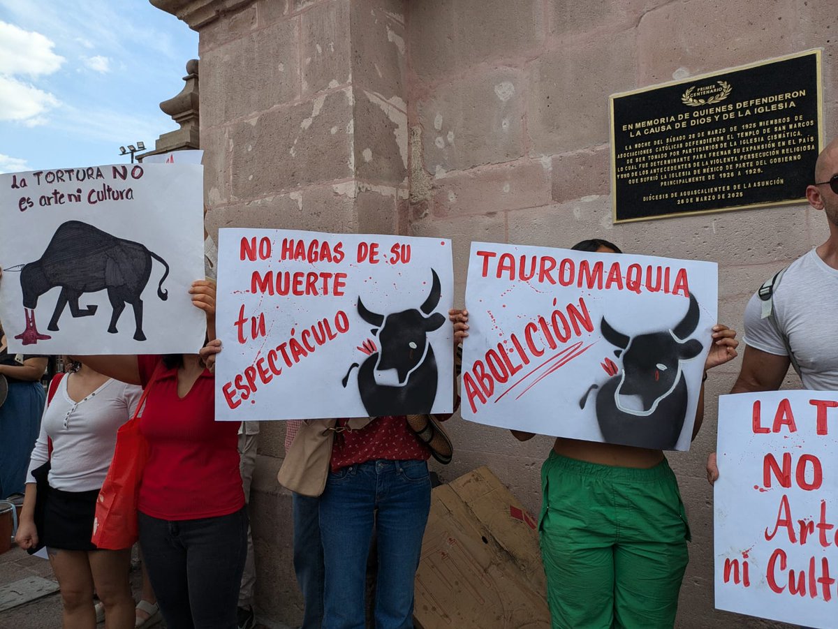 El Ojo de Aguascalientes tweet media