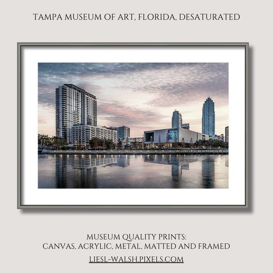 LieslWalsh's tweet photo. Sometimes I will create a #desaturatedcolor version of my photos. This one is the #tampamuseumofart in #downtowntampa.
I create custom sized images for your #home and #officewallart that fit your space.
https://t.co/aMj6uZ8WNC
#tampaflorida https://t.co/aOs5e6xqpj