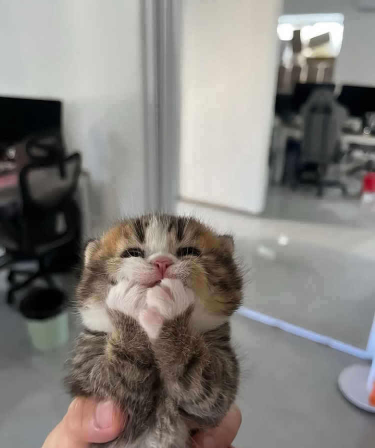 castledlol's tweet image. it’s nearly summer #soexcited