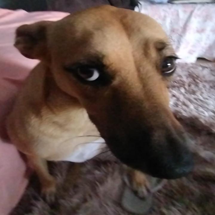 se praga pegar espero q saibam q eu desejei q todo hate q o meu svt de mel recebesse voltasse em dobro pro fav de qm tacou