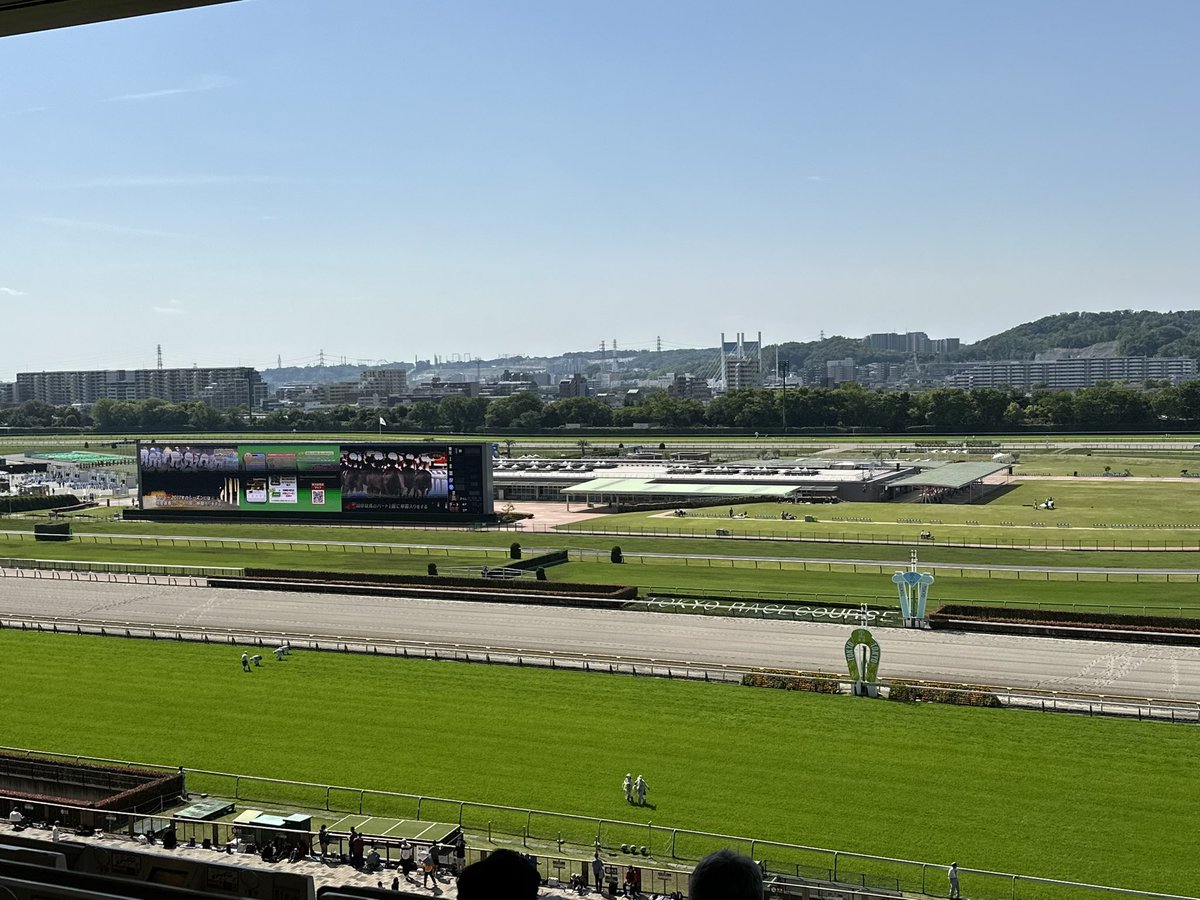 4Hardluck's tweet photo. いい天気です。
#東京競馬場 https://t.co/FMLVlLYUqN