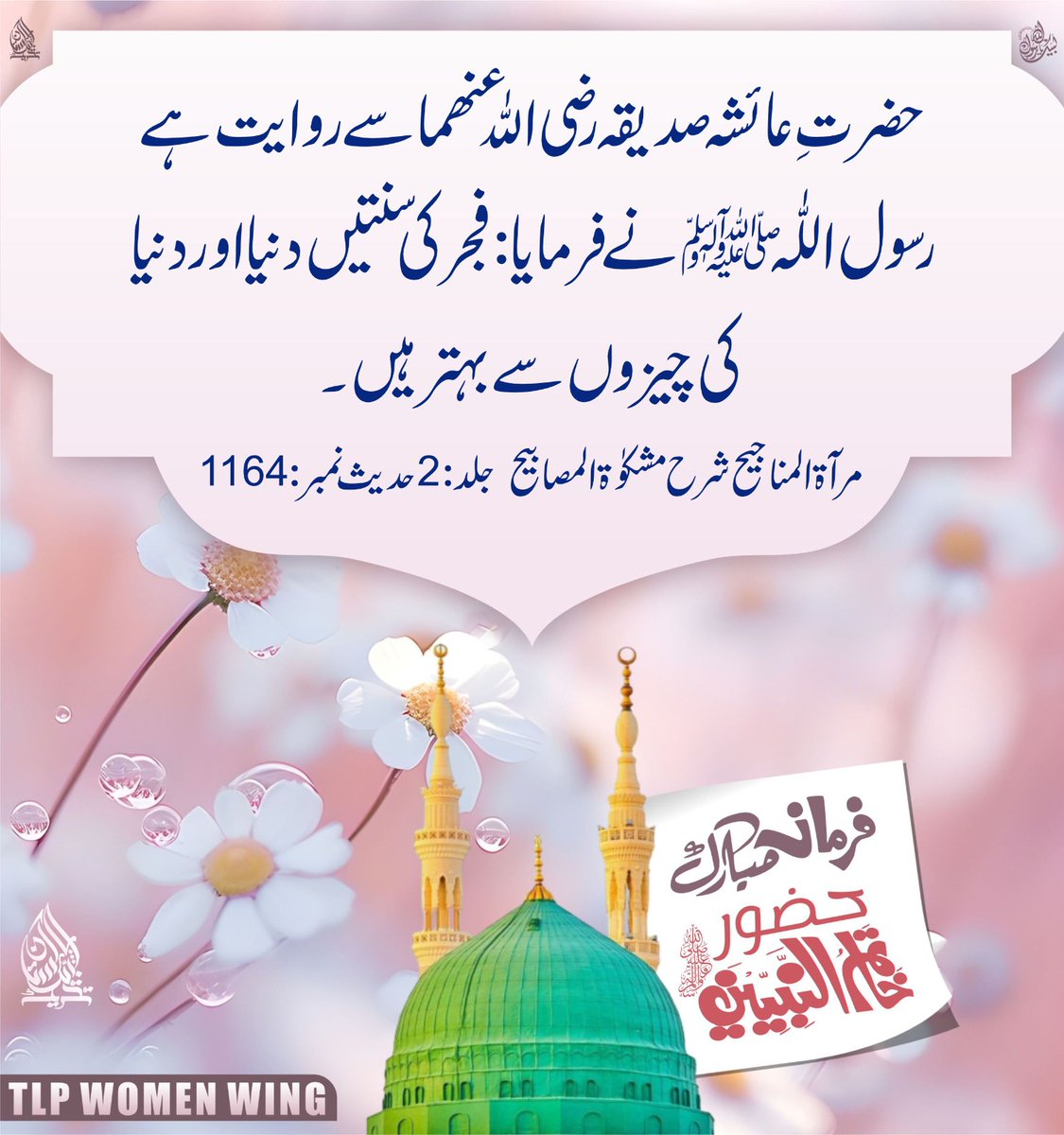 Tlp Women wing tweet media