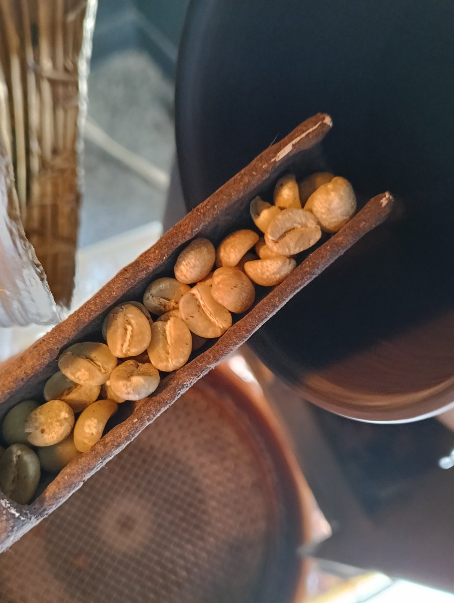 minazuki_hase's tweet image. #タンザニア アデラ

水分抜きがなかなか進まなかったり、１ハゼであまり膨らまなかったりしたけど、２ハゼで一気にしあがった

少し芯まで熱が入りすぎた（芯焦げ気味）なので、次回は見た目で焙煎が進んでなくも早めに次工程を進めていこう

#自家焙煎珈琲
#コーヒー
#週末の過ごしかた