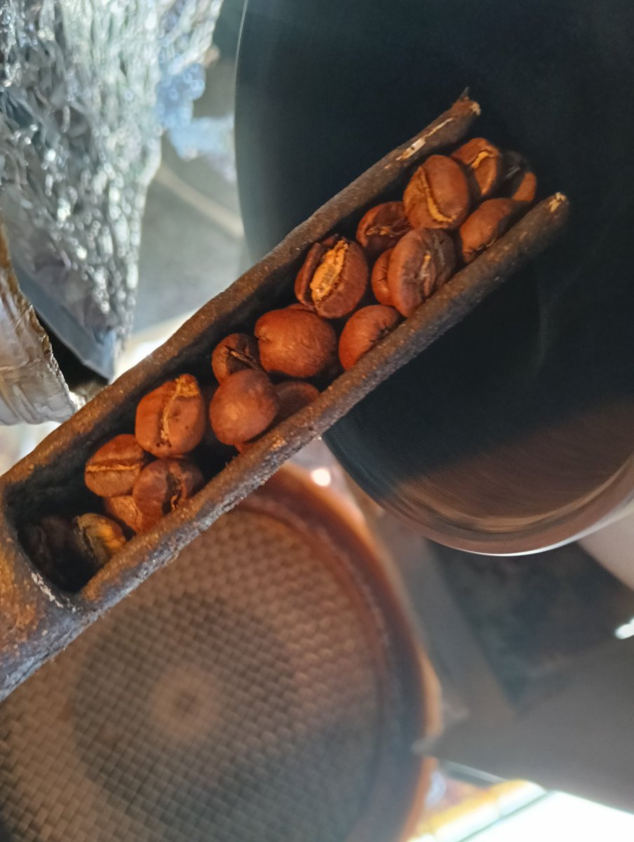 minazuki_hase's tweet image. #タンザニア アデラ

水分抜きがなかなか進まなかったり、１ハゼであまり膨らまなかったりしたけど、２ハゼで一気にしあがった

少し芯まで熱が入りすぎた（芯焦げ気味）なので、次回は見た目で焙煎が進んでなくも早めに次工程を進めていこう

#自家焙煎珈琲
#コーヒー
#週末の過ごしかた