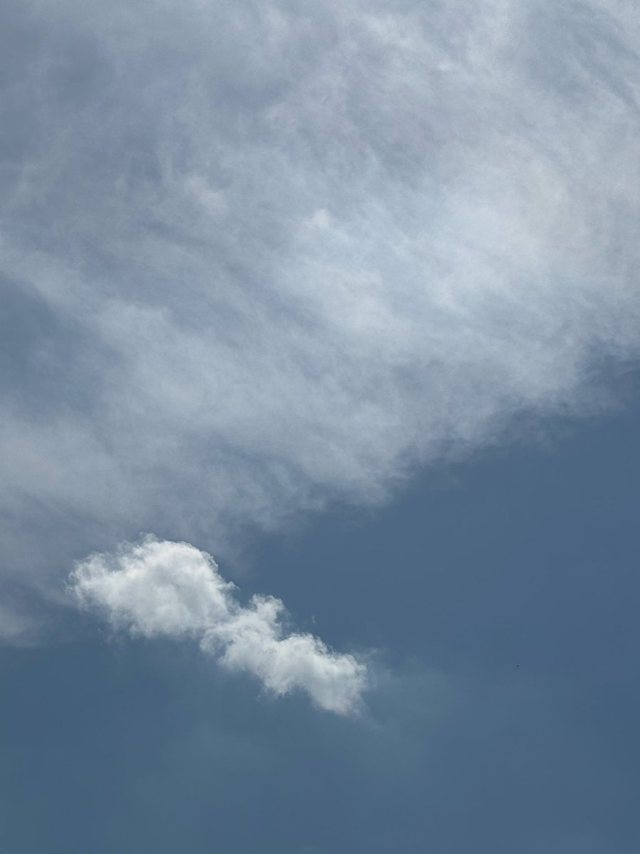 みいしゃ tweet media