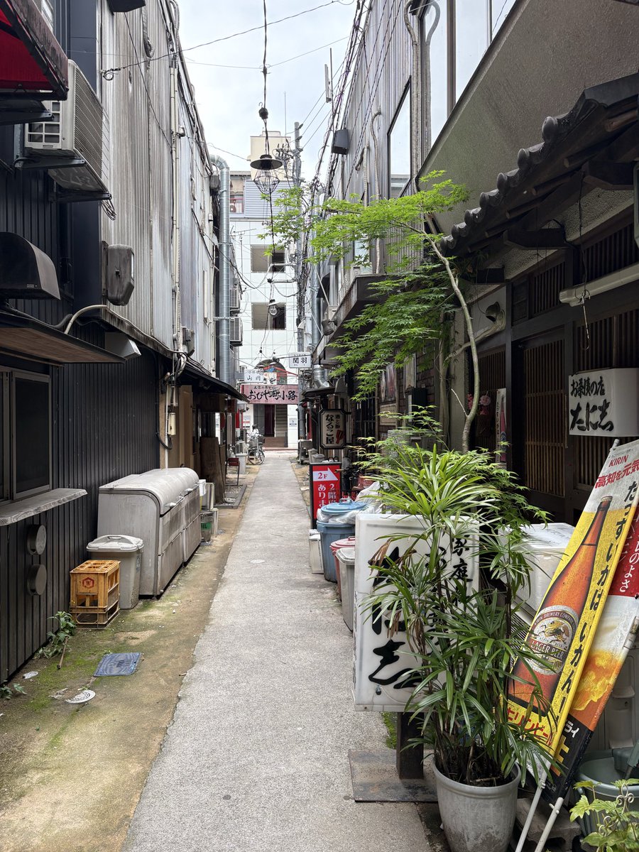 ocha_house's tweet photo. おびや町小路(昼) https://t.co/zXzc7BOwBd
