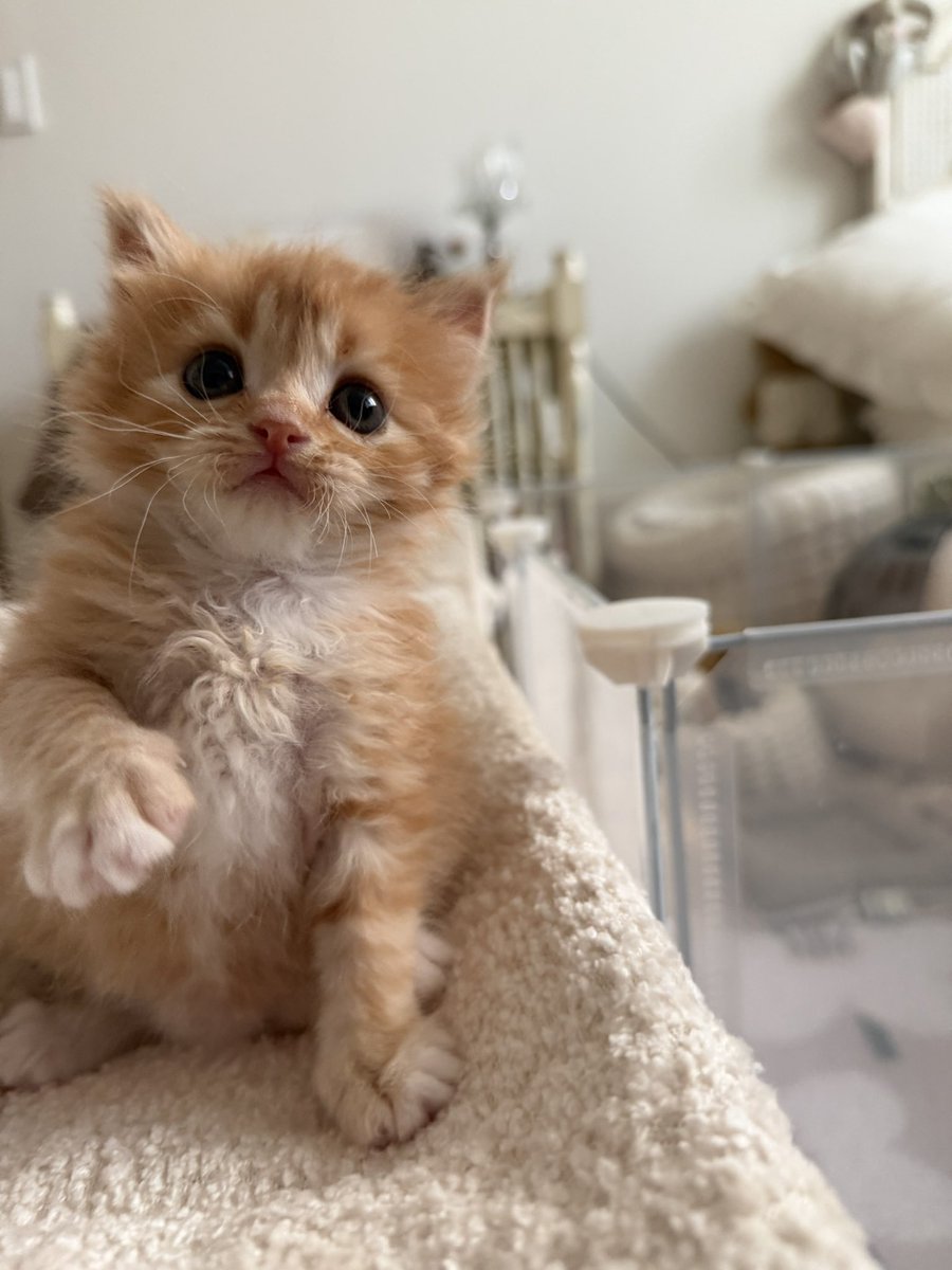 나 제법 깔끔해진거같은데